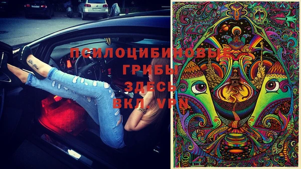 винт Бугульма