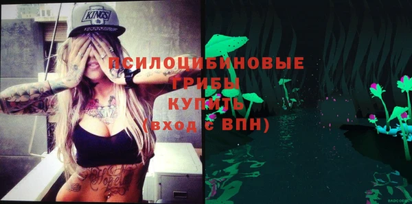 mdpv Бородино