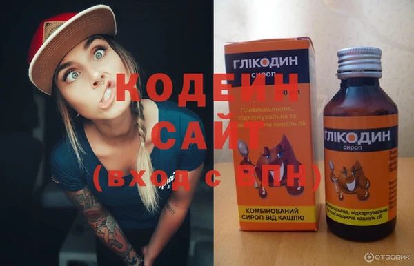 mdpv Бородино